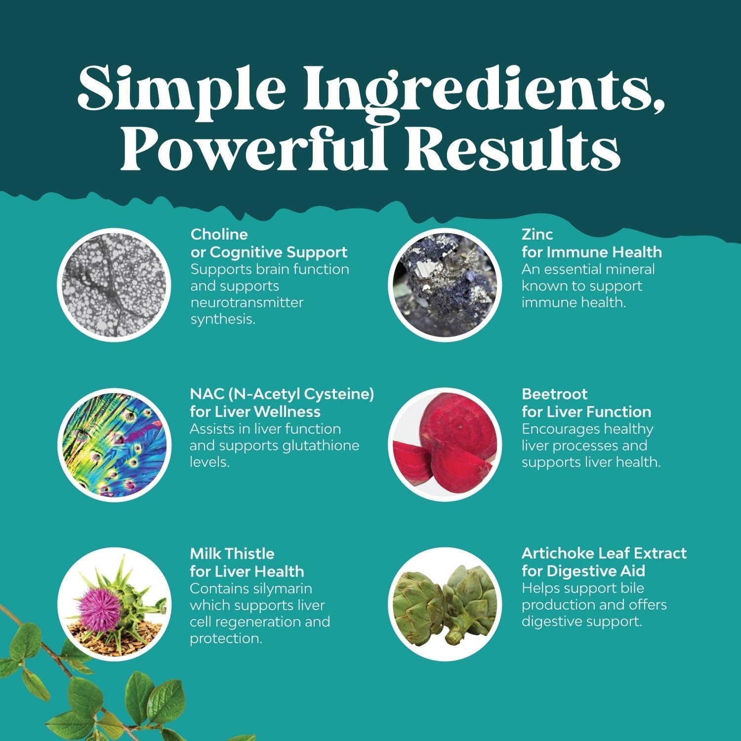 Liver Support NAC Supplement with Milk Thistle Extract - Antioxidants for Cleanse, Detox & Repair - 60 Capsules