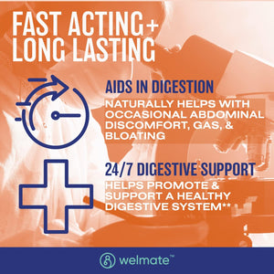 WELMATE Bifidobacterium | Probiotic Supplement | Supports Gut Health | Immune Support 200 Count