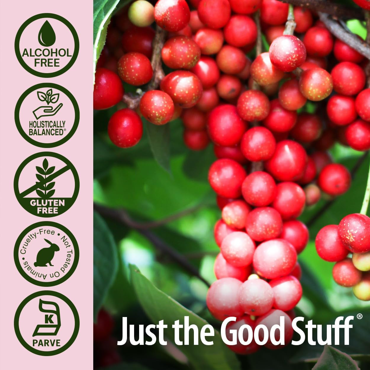 Nature'S Answer Schisandra Berry Extract - Stress, Fatigue, Relaxing Support - Adrenal Support Supplements for Everyone - Made in USA 