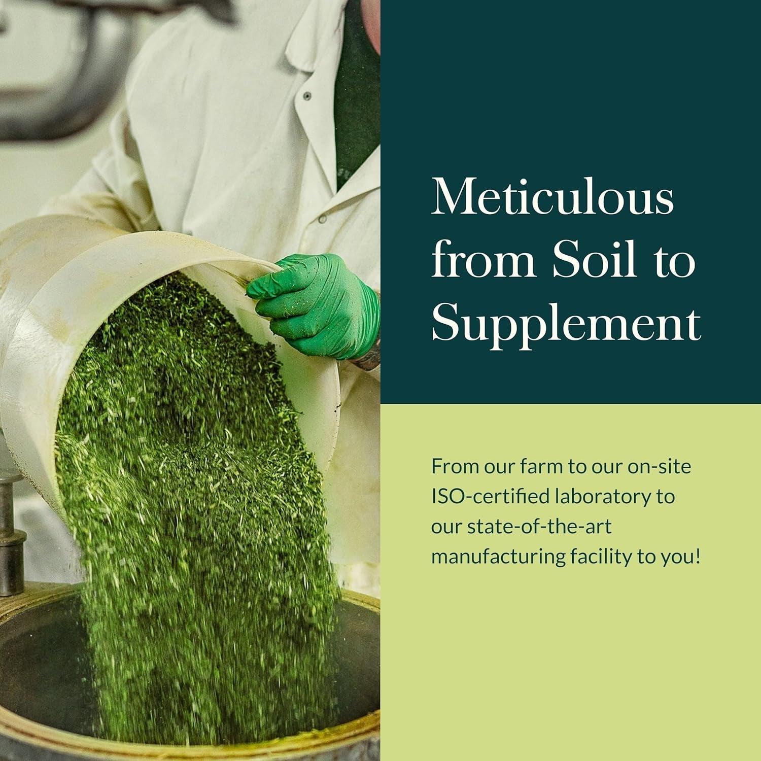 Gaia Herbs Mighty Lungs - Lung Support Supplement to Help Maintain Overall Lung & Respiratory Health (30-Day Supply)