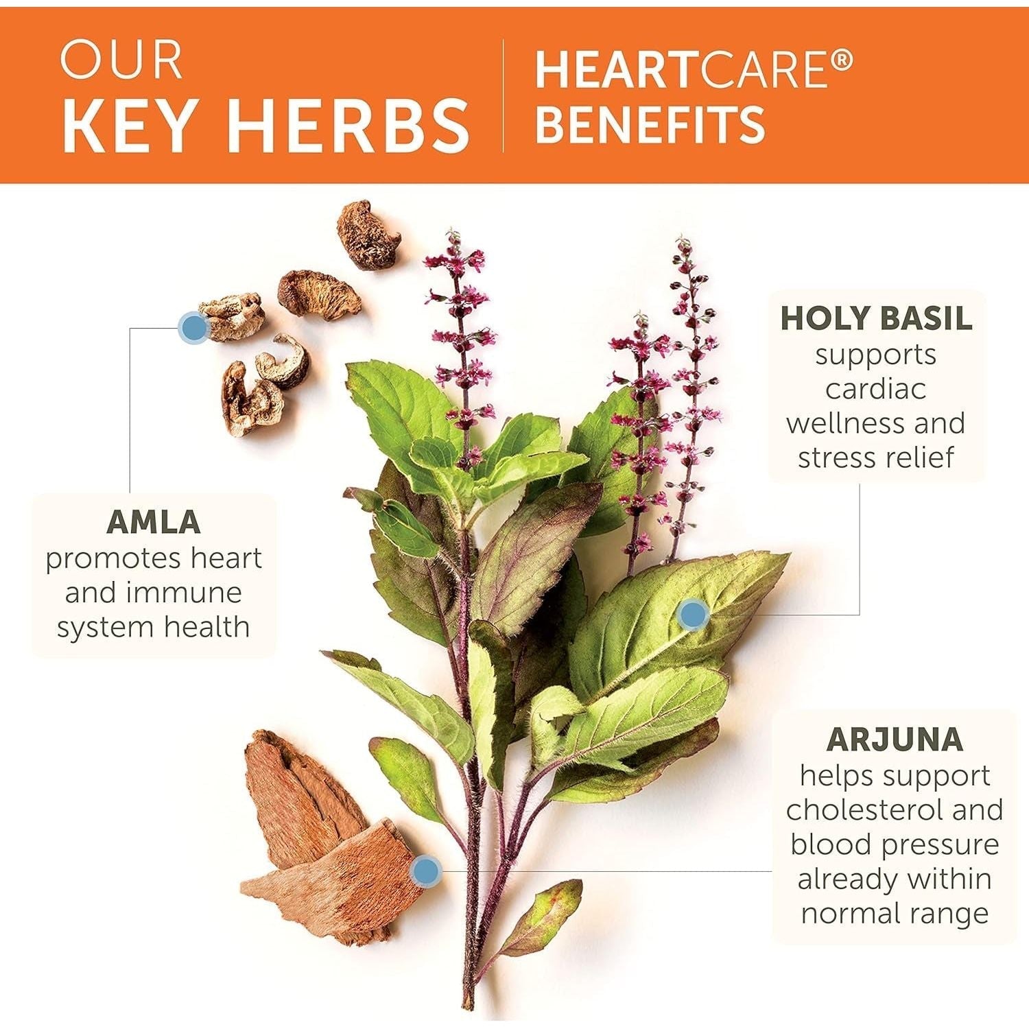 Himalaya Heartcare, Cholesterol & Blood Pressure Supplements 720Mg, 120 Servings