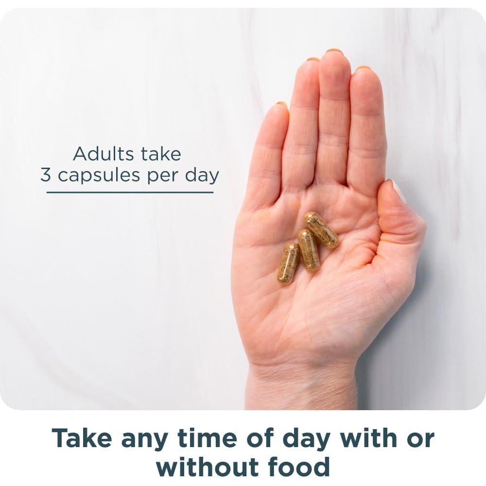 Ancient Nutrition Advanced Collagen Protein Lean with Probiotics, Supports Healthy Weight and Fat Loss, 90 Count