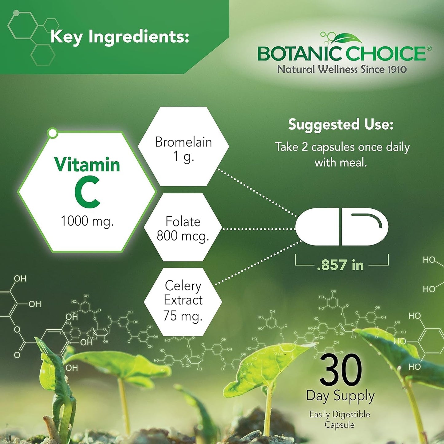 Botanic Choice Uric Acid Complex Supplement - Foot Joint Support 60 Caps