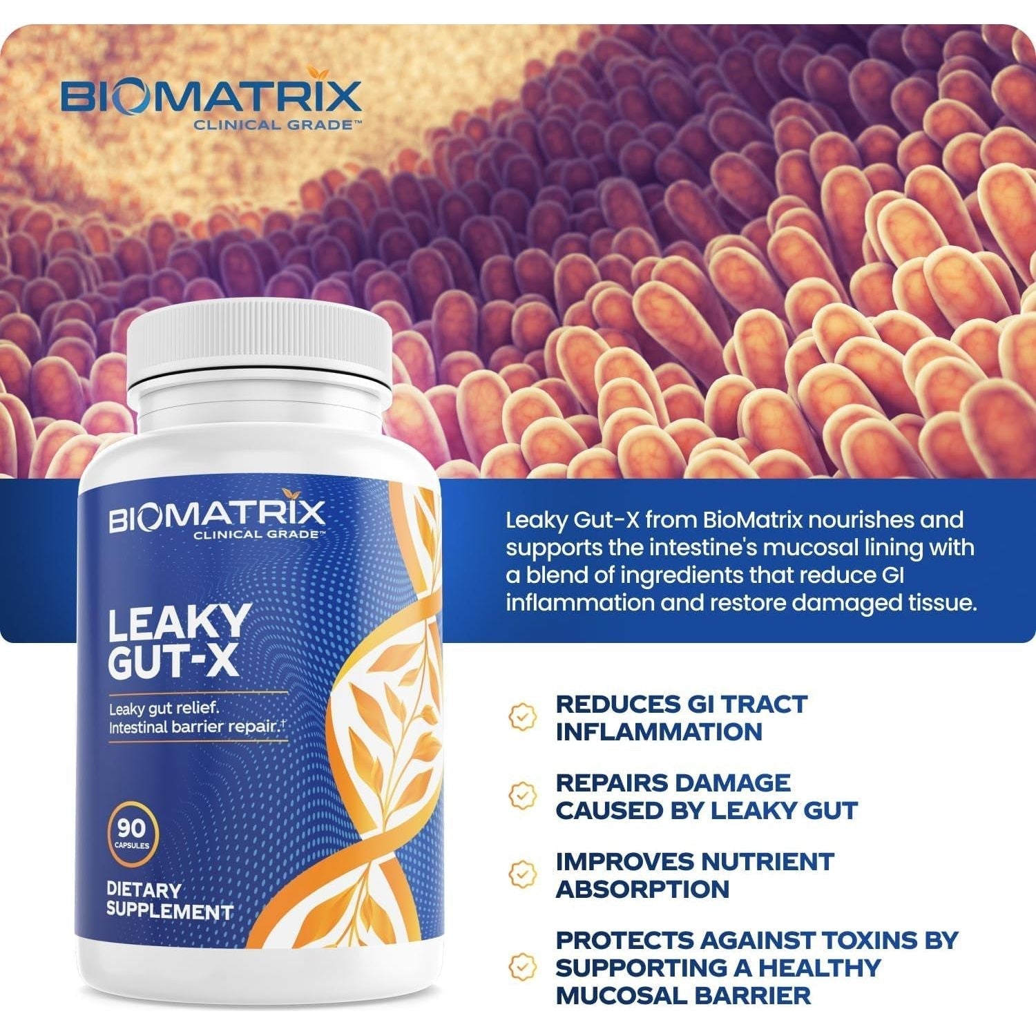 Intestinal Repair Supplement with Glutamine and Herbs for Leaky Gut 60-Day Supply 