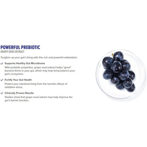 Inno Gut Protect GS1 Probiotic & Postbiotic Formula (90 Capsules)