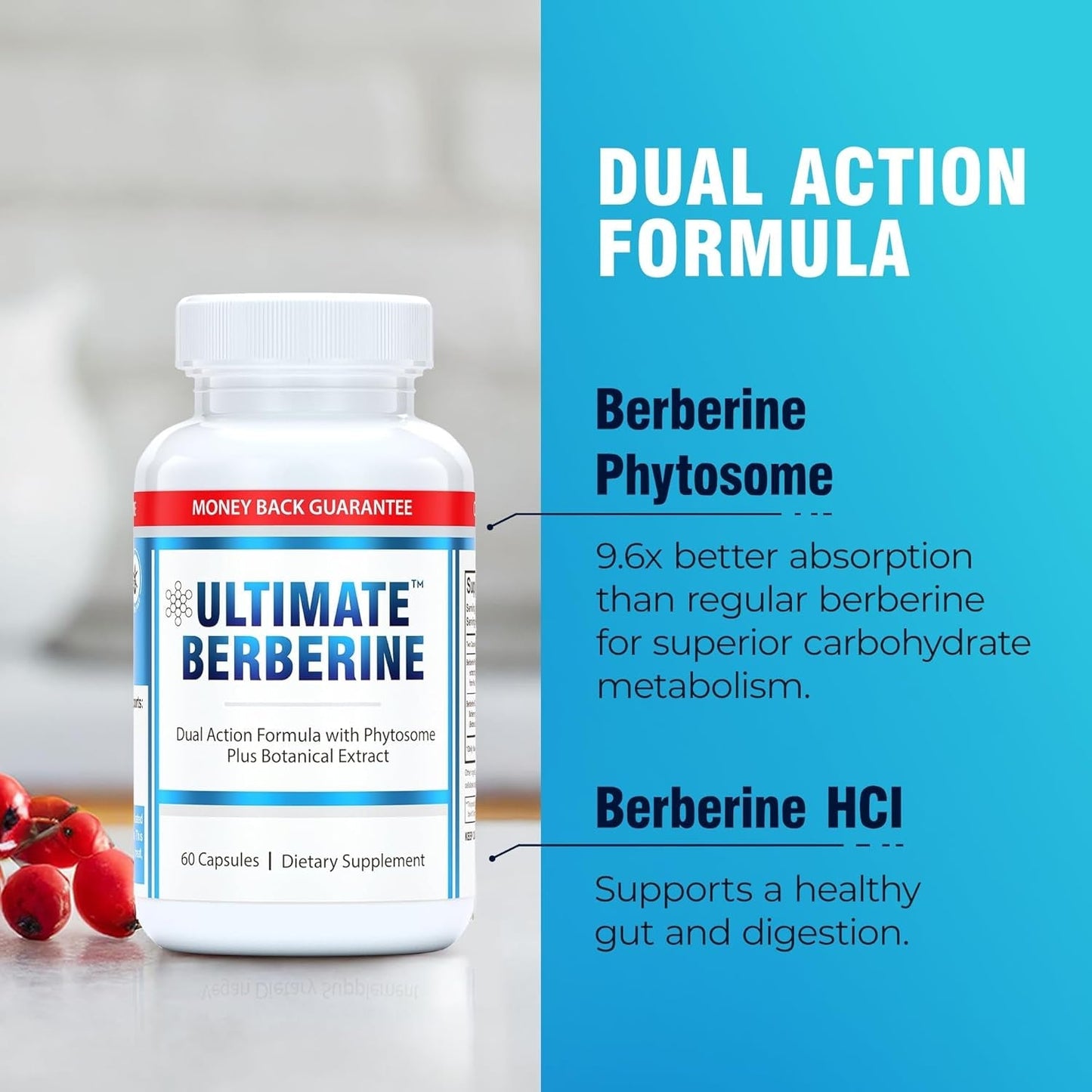 Ultimate Berberine Phytosome for Healthy Weight Management for Metabolism, Gut Health, Immunity & Cholesterol Support