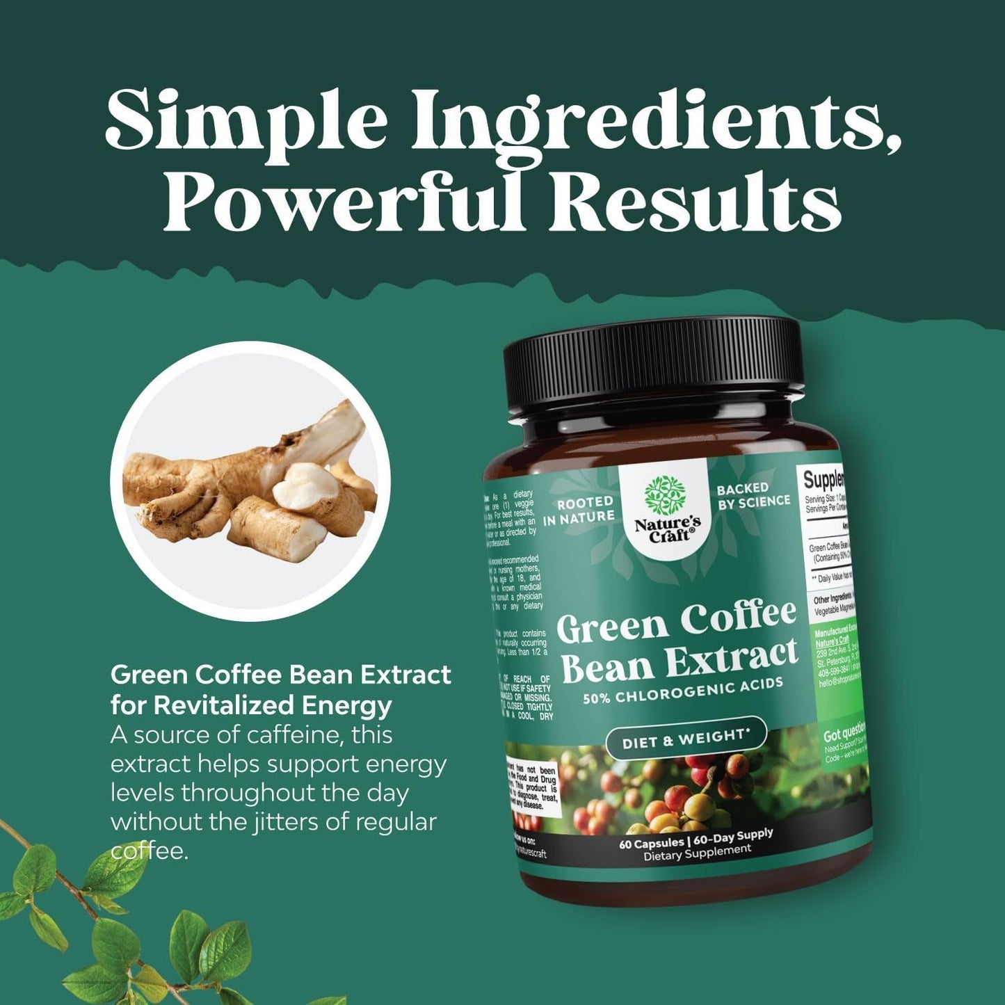 Green Coffee Bean Extract for Weight Loss - Natural Appetite Suppressant