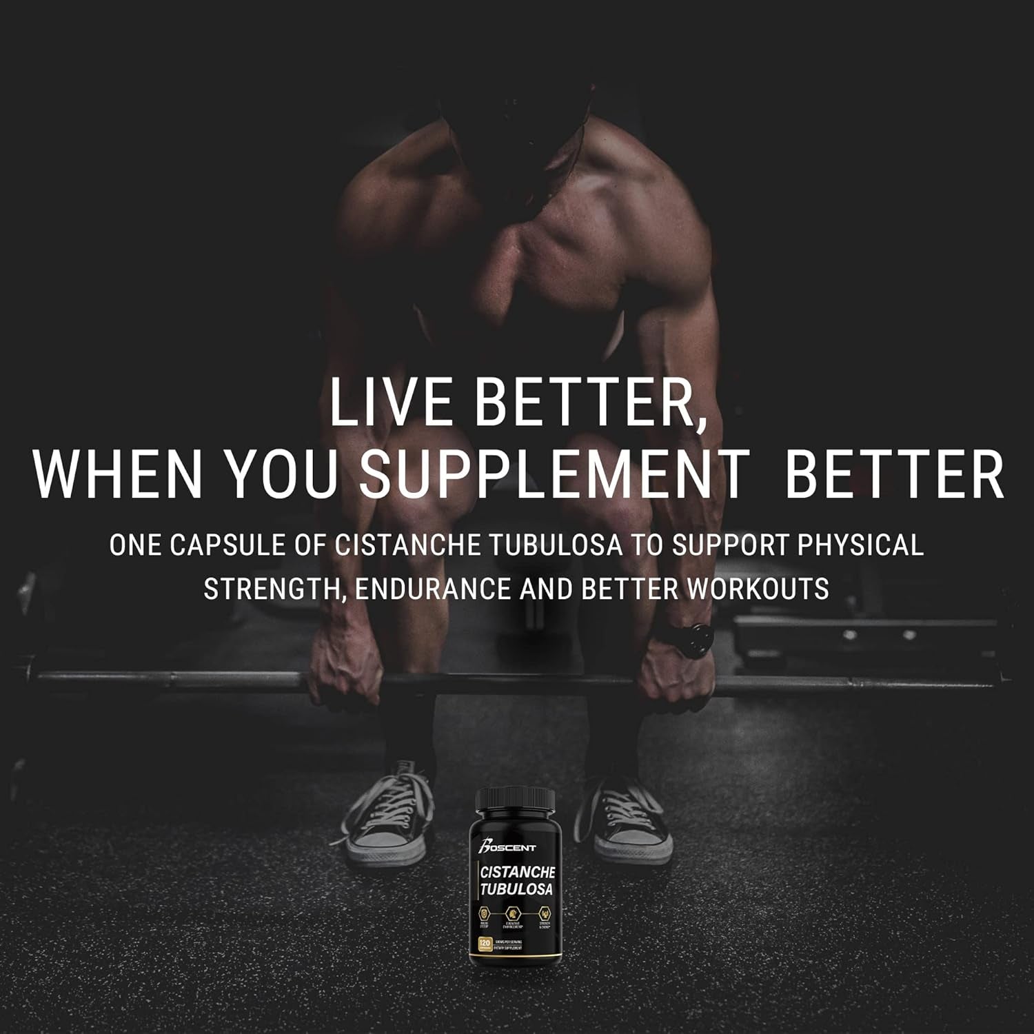 Premium Cistanche Tubulosa Extract 500Mg (120 Capsules) - Natural Nootropic