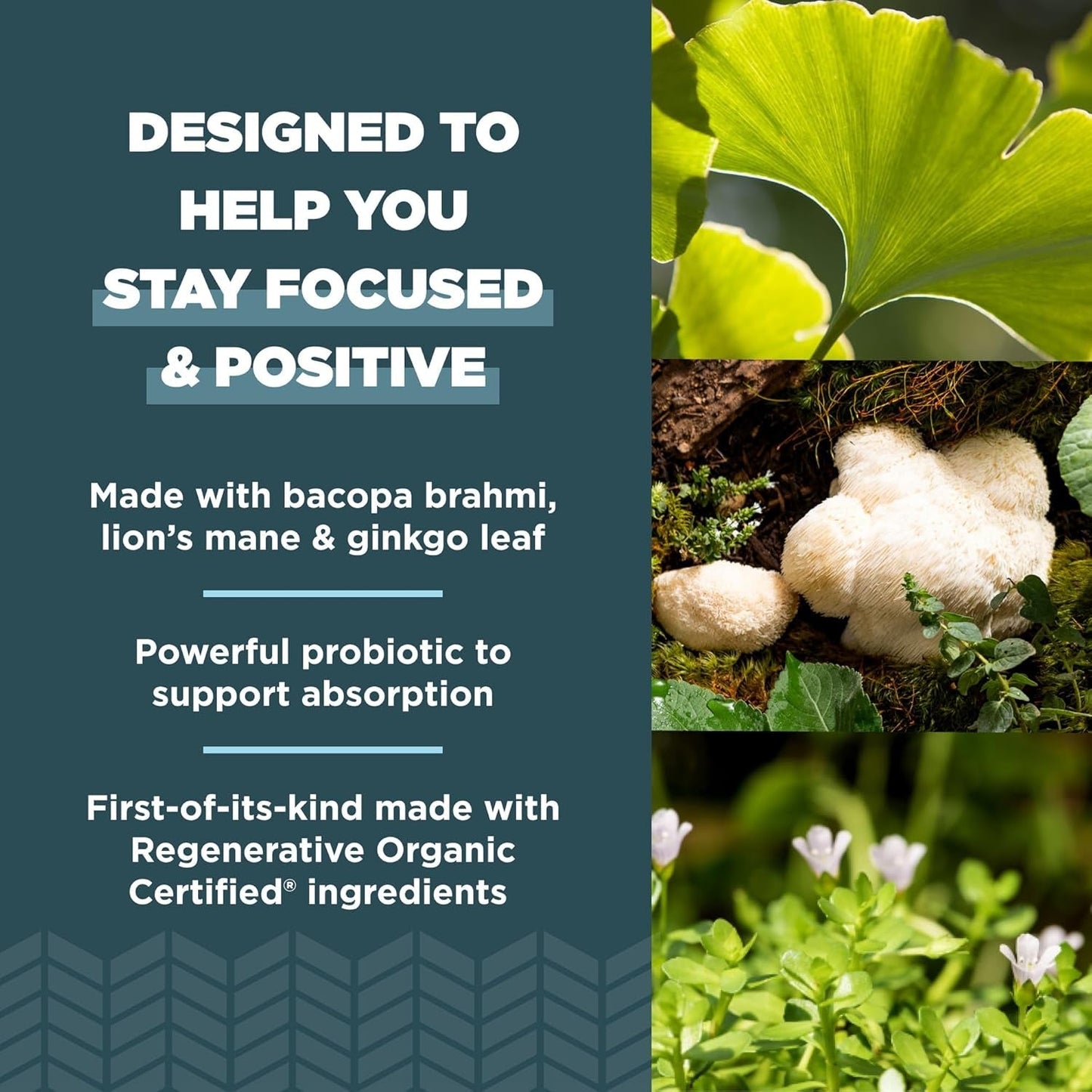 Ancient Nutrition Regenerative Organic Certified Focused Brain Capsules, 90 Count