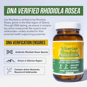 Max Strength Siberian Rhodiola – Helps Support Stress, Energy & Focus (60 Capsules)