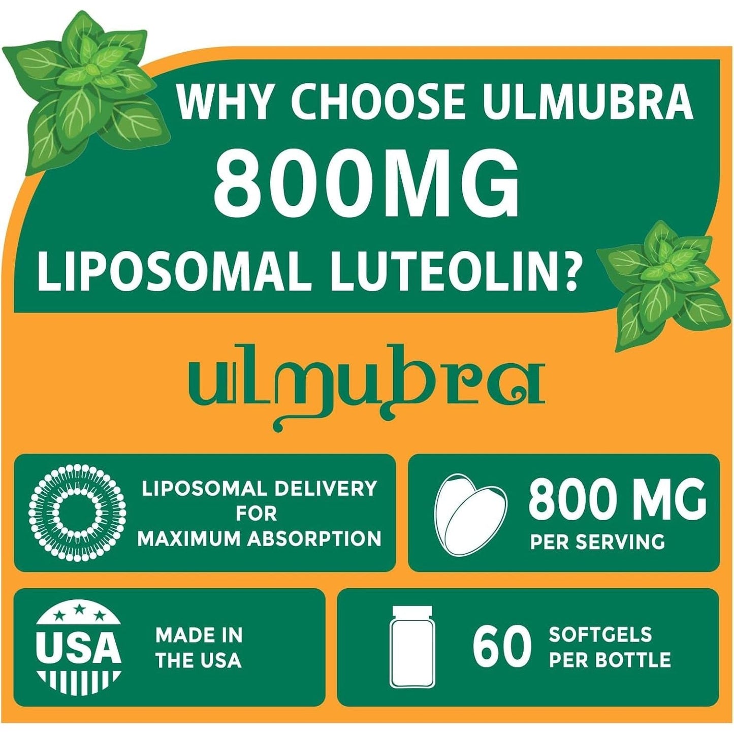 800 MG Liposomal Luteolin Supplement - Premium Antioxidant Supplement for Brain & Overall Well-Being 60 Softgels