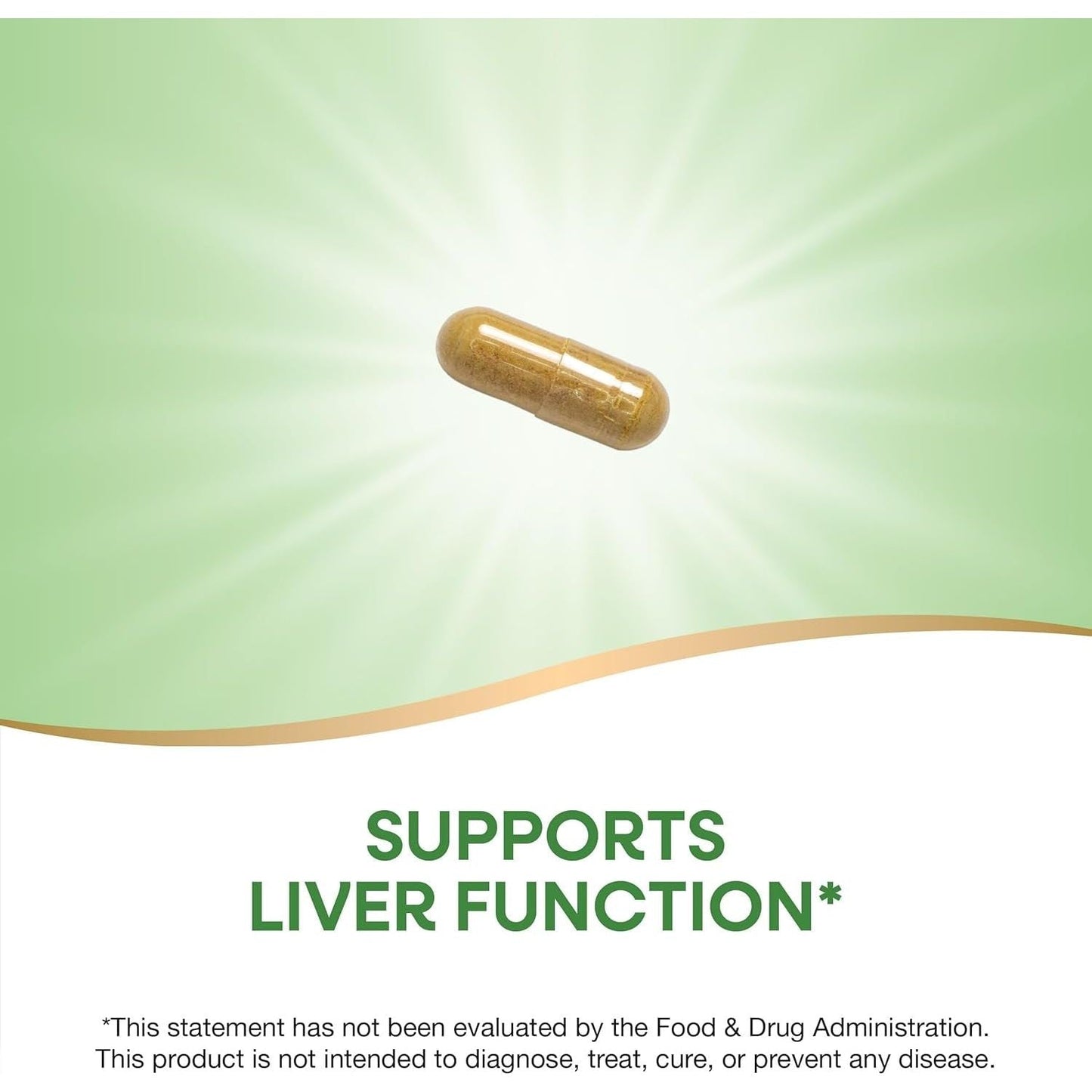 Nature'S Way Thisilyn with Standardized Milk Thistle Extract, Supports Liver Function*,100 Capsules 