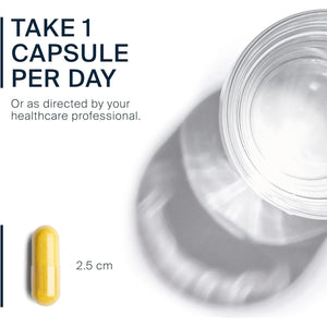 Vital Nutrients Berberine | Supports Healthy Bowel Function and Normal Triglyceride Levels 200 Mg | 60 Capsules