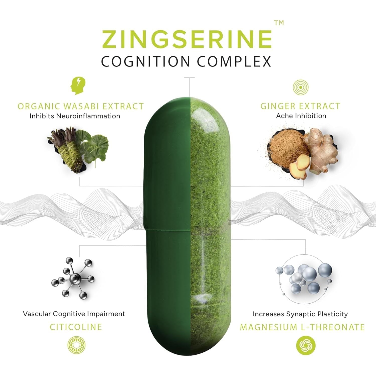 Organic Wasabi Extract + Zingserine Cognition  the Most Targeted Memory Supplement (2 Month Supply)
