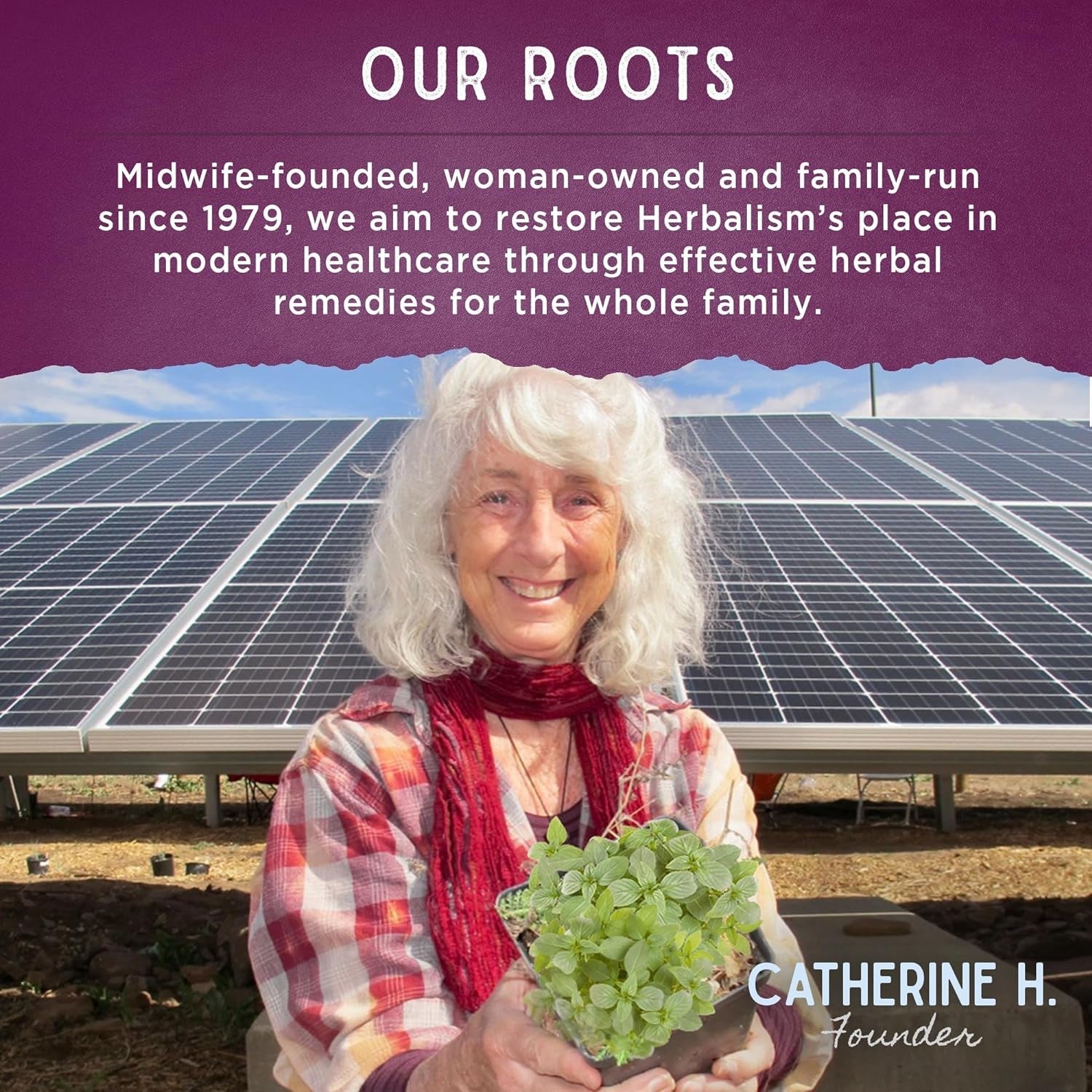 Wishgarden Herbs Rebalance after Birth Hormonal - Supports Healthy Postpartum Hormone Levels and Postnatal Hormone Balance, 2Oz