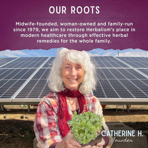 Wishgarden Herbs Emotional Ally - Supports Emotional Grounding, 4Oz