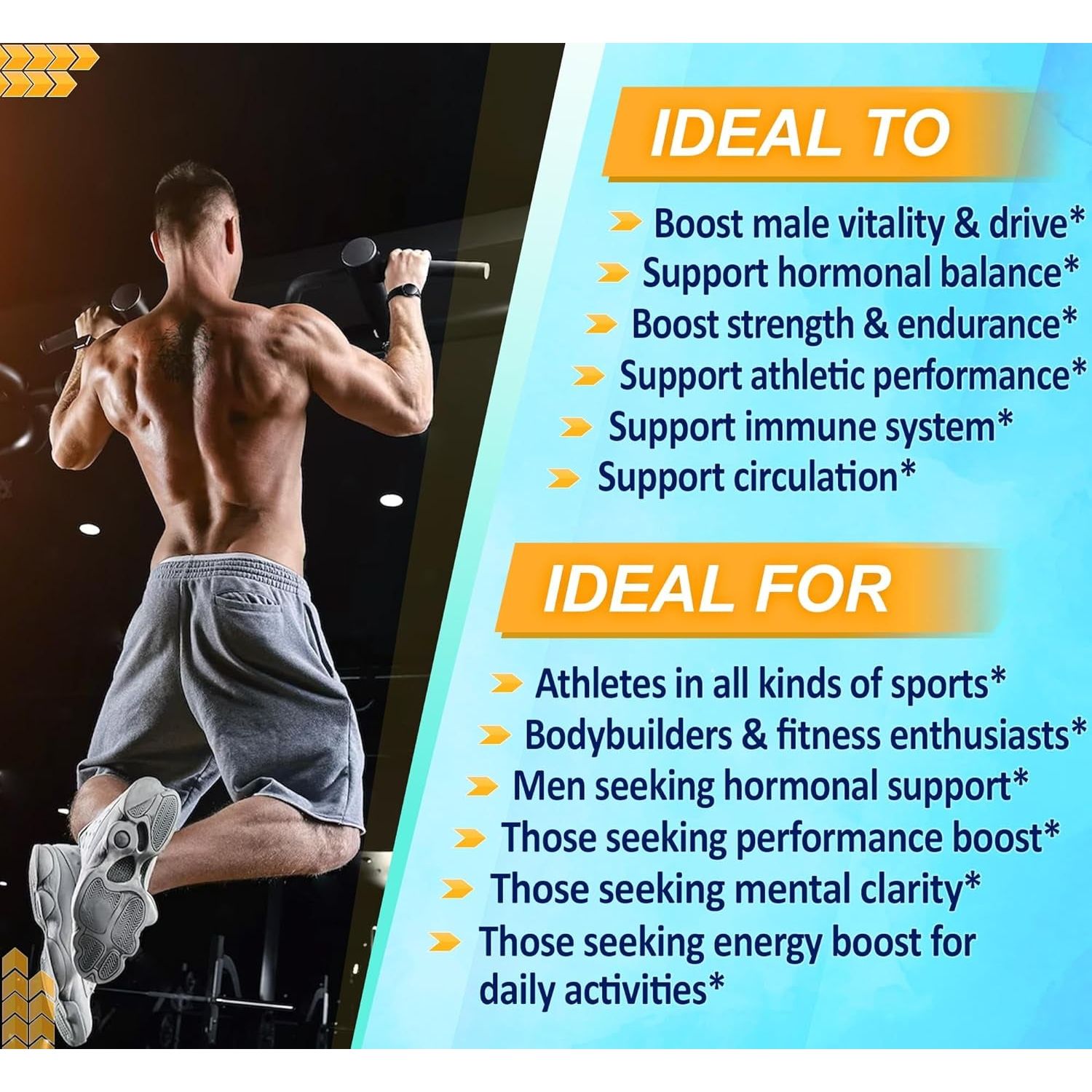 VEGATOT 6 in 1 High Strength Turkesterone Concentrated with Maca Root Fenugreek Tribulus (60 Count)