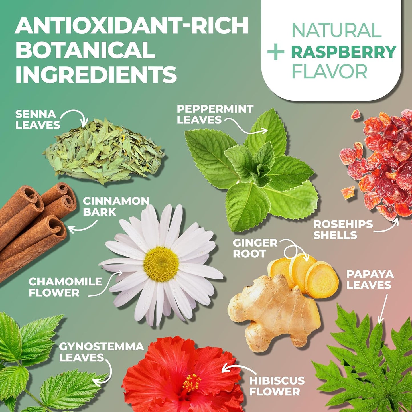 Total Tea Slimming Detox Tea for a Healthy Weight Support - Caffeine Free (25-Pack Mint)