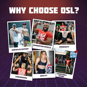 Vintage Build – Post Workout Recovery & Muscle Building Powder Drink for Muscular Strength & Growth (377G)