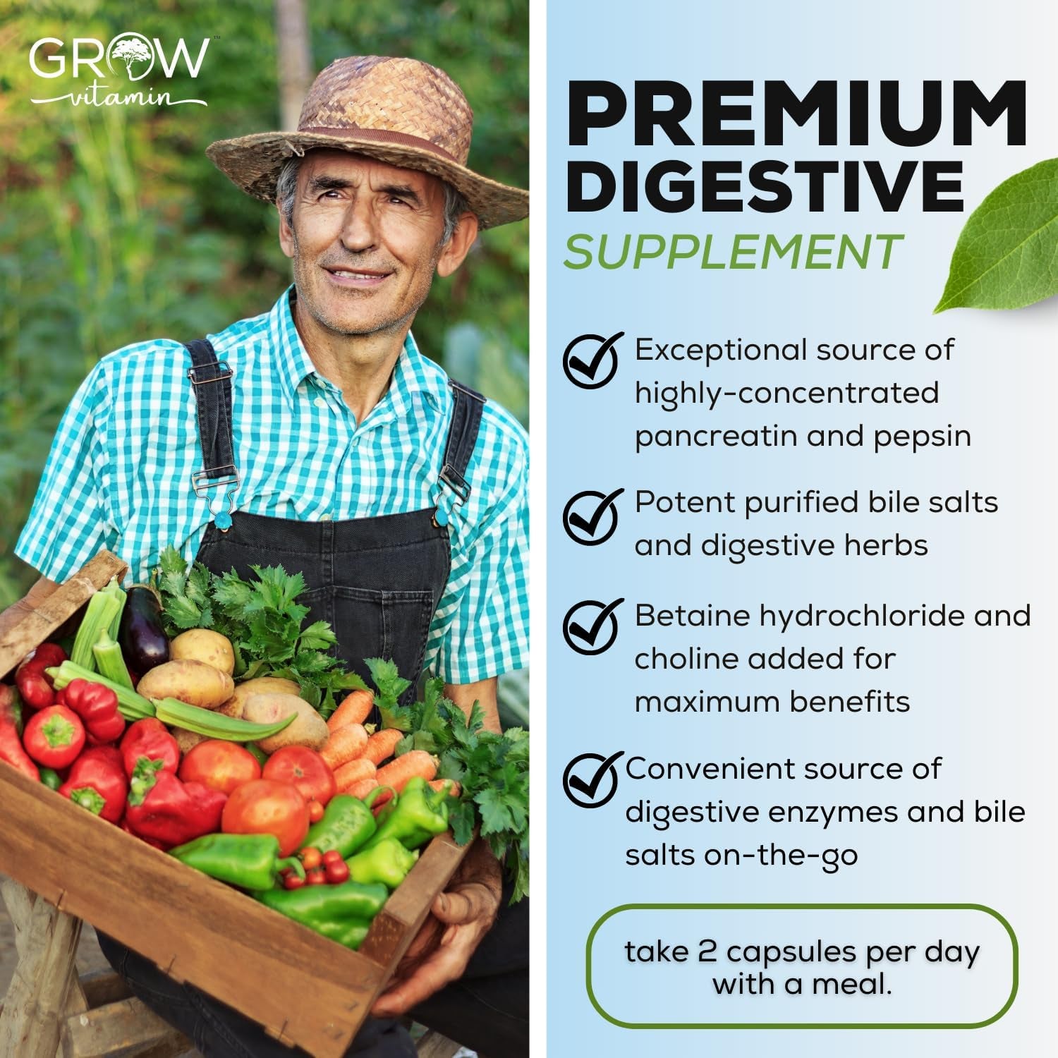 Grow Vitamin Original Gallbladder Formula, Made W/Purified Bile Salts & Ox Bile Digestive Enzymes 90 Capsules