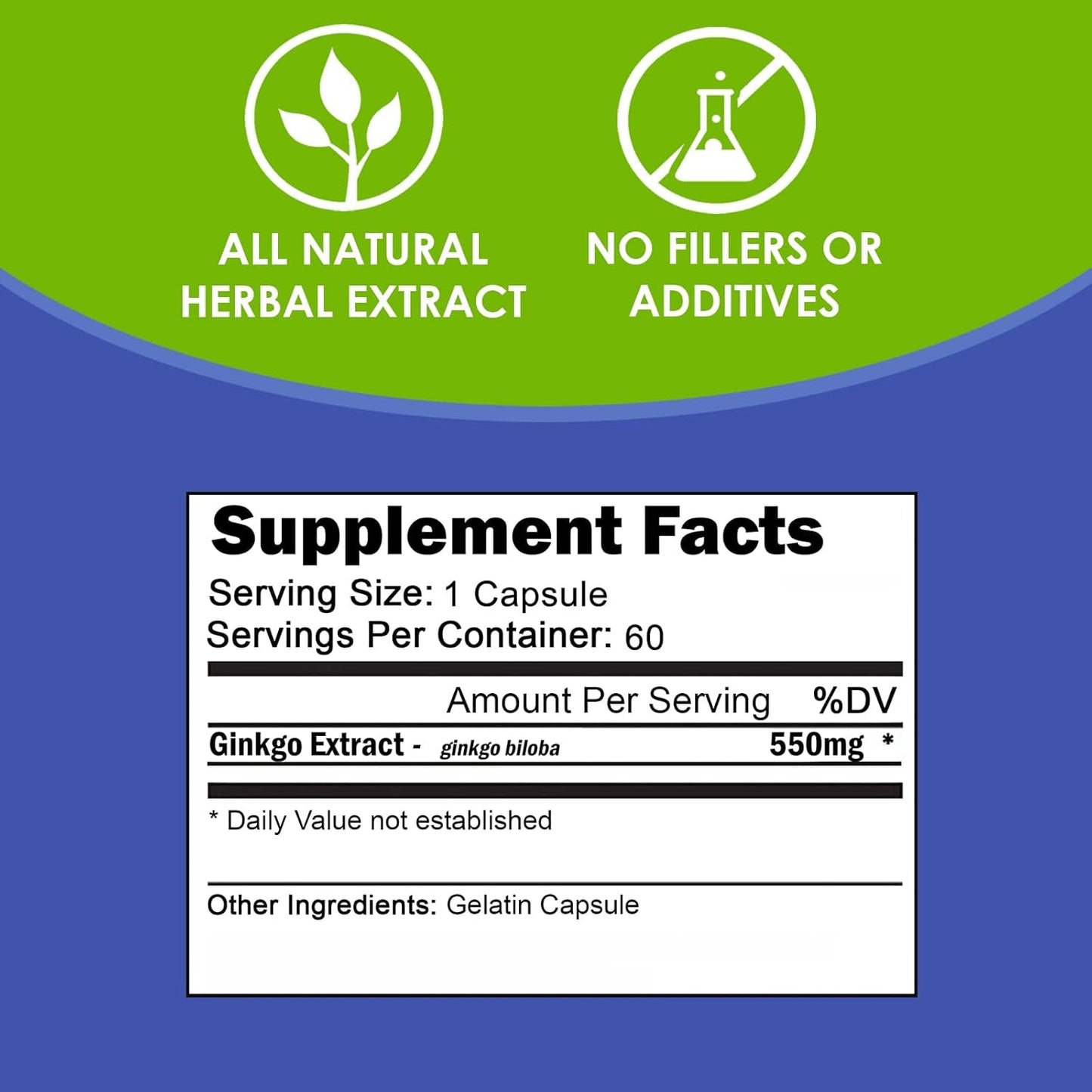 VH Nutrition Ginkgo BILOBA | 550Mg Standardized Extract Supplements | Cognitive and Memory Support* | 60 Capsules