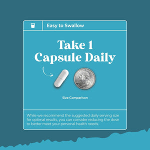 DHEA 50Mg for Enhanced Energy and Hormone Balance (4 Month Supply)