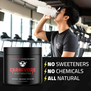Premium Hydration Powder for Carnivore Diet - Balanced Electrolyte Support, Zero Carb, Keto Friendly 90 Servings 