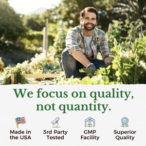 Vitalitown Moringa Capsules 11,000 MG,, Green Moringa Leaves, No Sticks, No Caffeine, Moringa Oleifera, Energy, Appetite, 90 Capsules