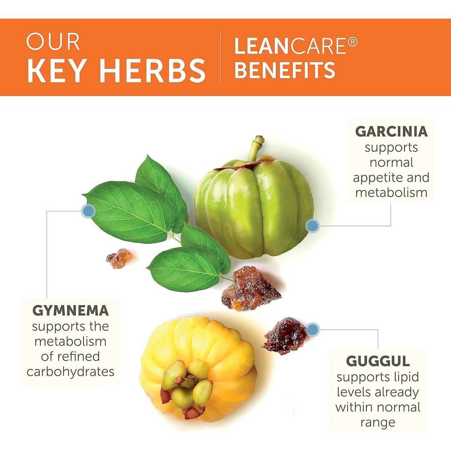 Himalaya Leancare Herbal Supplement for Weight Support, 600 Mg, 120 Capsules