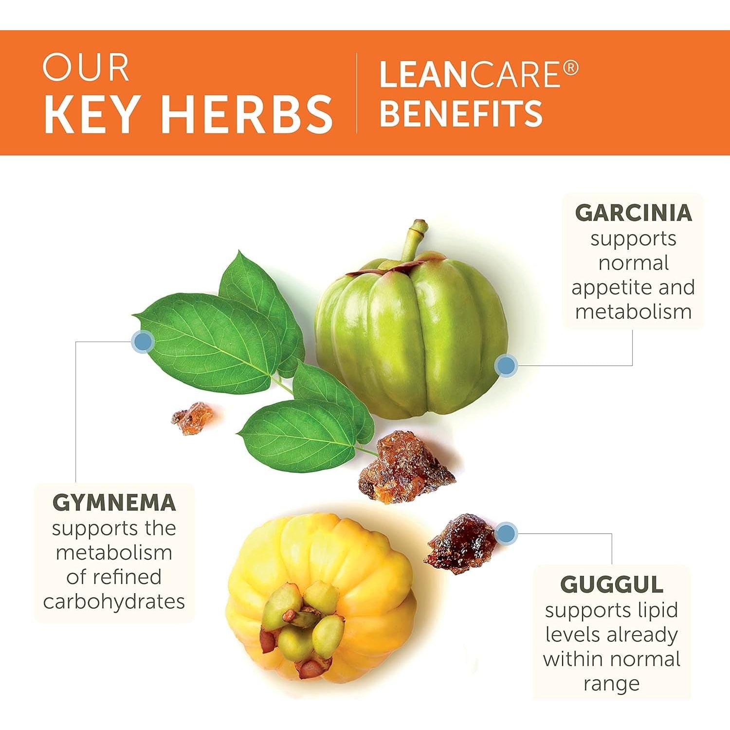 Himalaya Leancare Herbal Supplement for Weight Support, 600 Mg, 120 Capsules