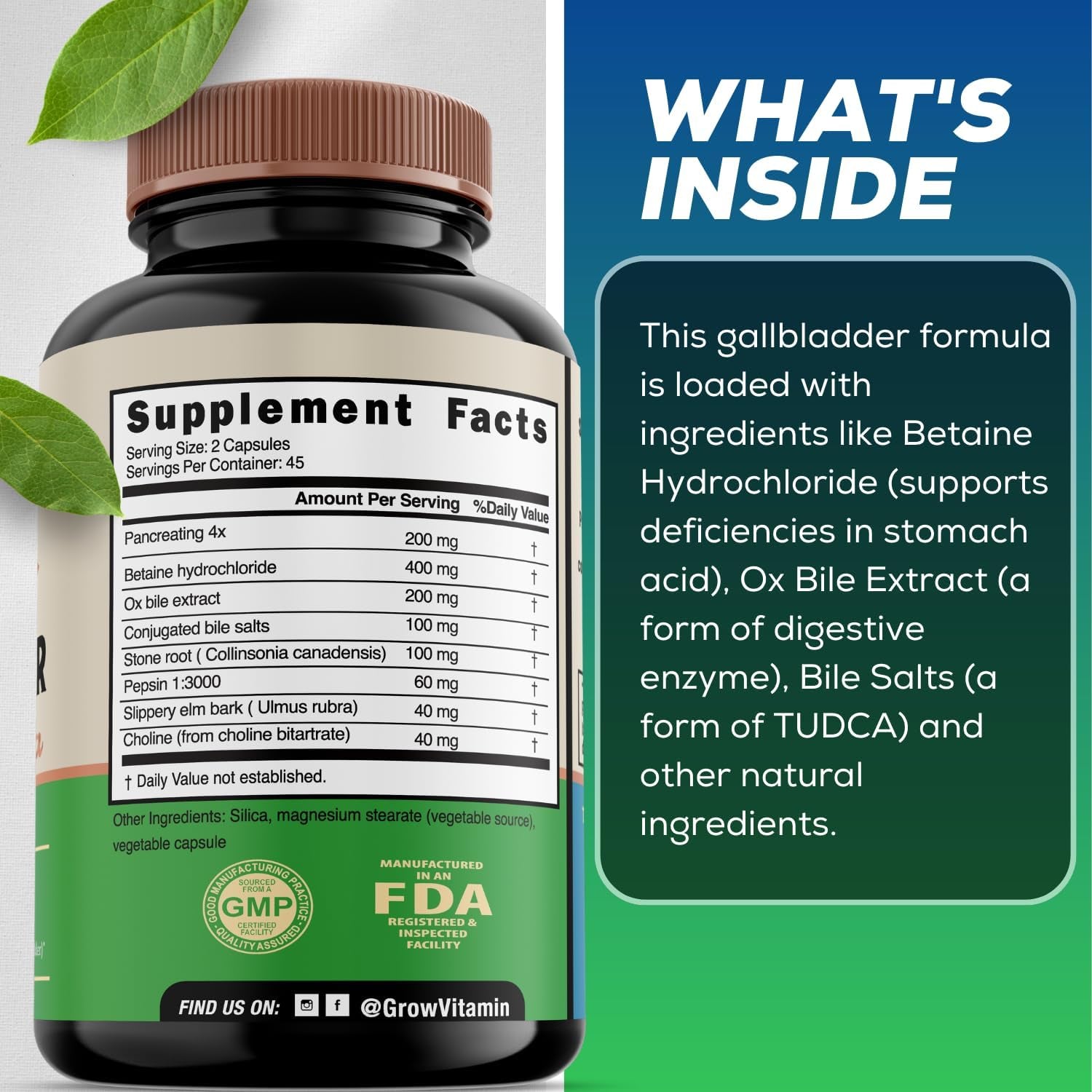 Grow Vitamin Original Gallbladder Formula, Made W/Purified Bile Salts & Ox Bile Digestive Enzymes 90 Capsules