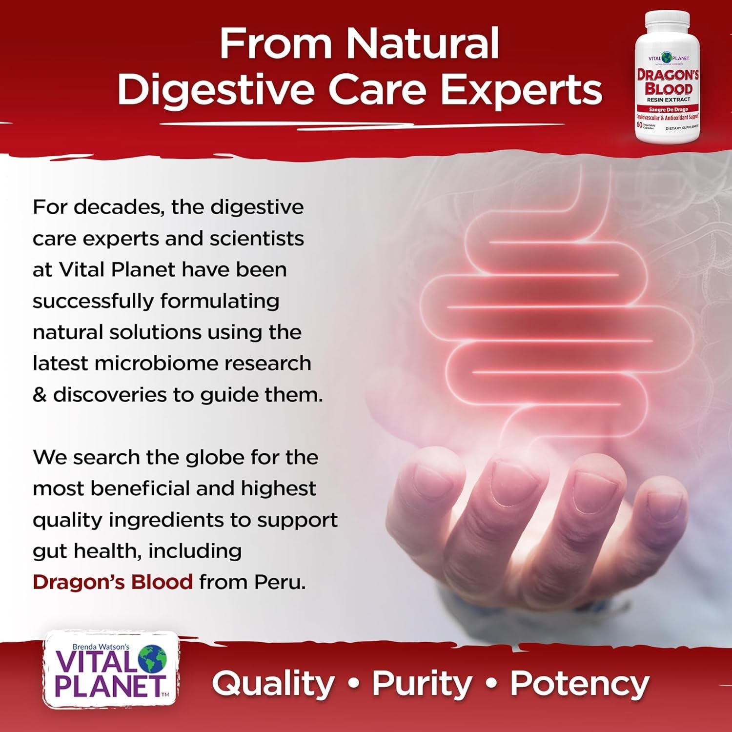 Vital Planet - Dragon'S Blood Resin Extract for Digestive Health 500Mg 60 Capsules