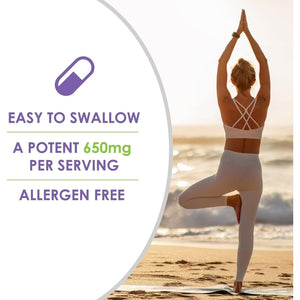 VH Nutrition VITEX+ | Vitex Chasteberry Supplement for Women - Hormonal Balance* and Fertility Support* 650Mg - 60 Capsules