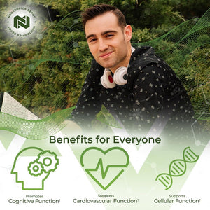 Nootropics Depot Ginkgo Biloba Extract Tablets | 120Mg | 90 Count 