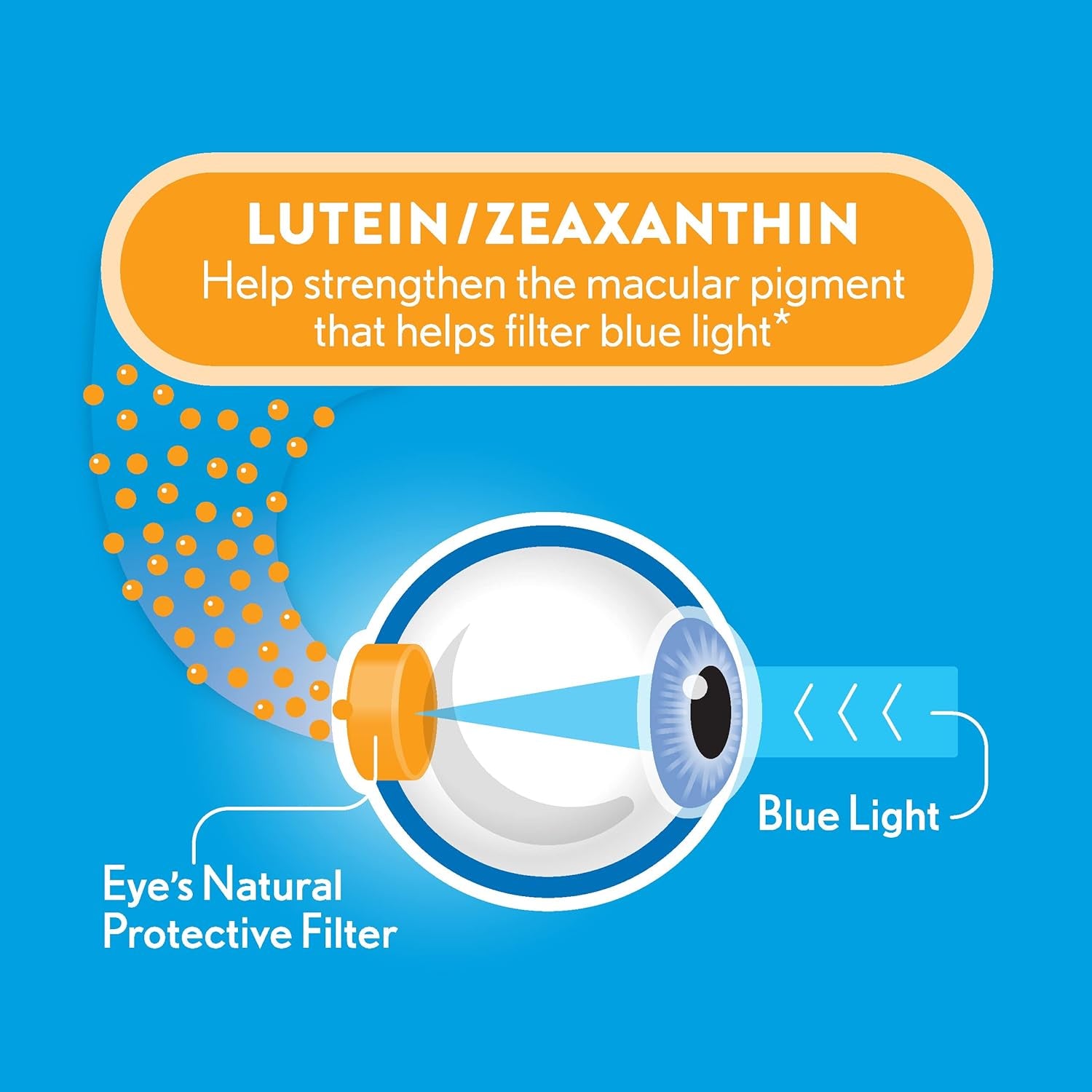 Ocuvite Blue Light Lutein 25Mg Lutein & Zeaxanthin Supplement, by Bausch + Lomb, 30 Softgels