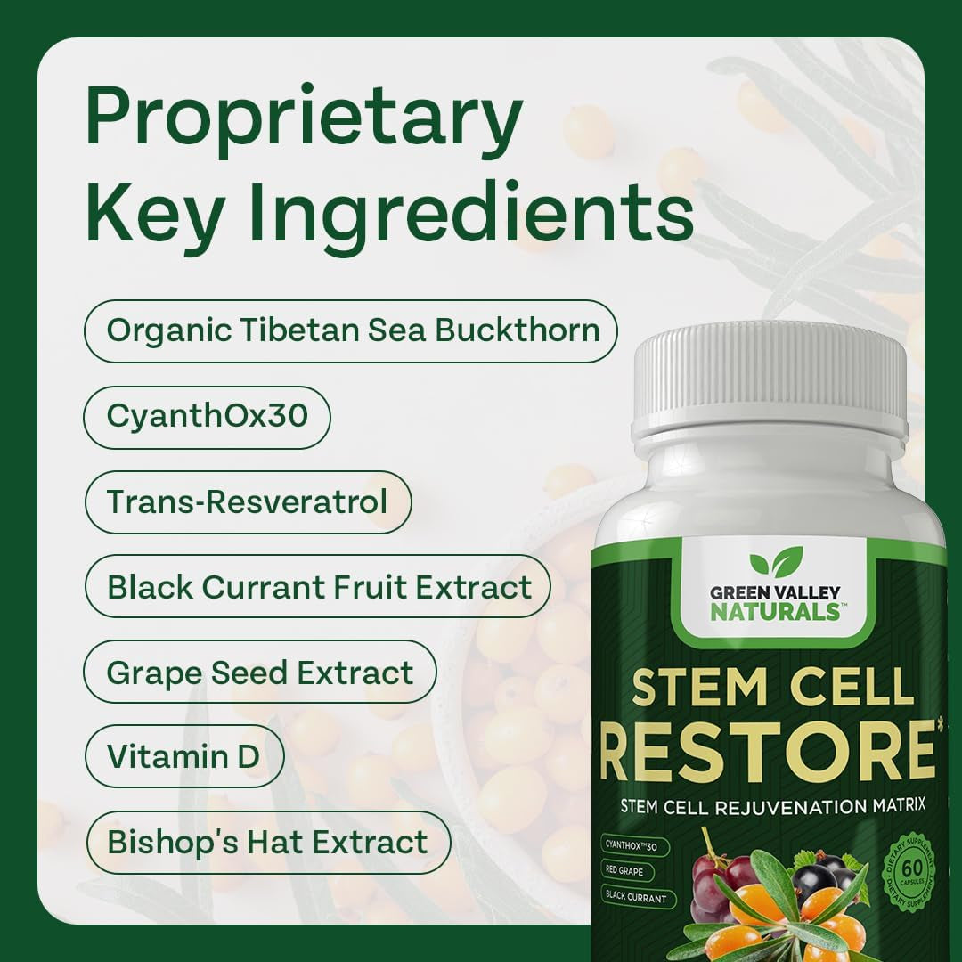 Stem Cell Restore - Supports Healthy Aging - Brain and Cognitive Support (60 Count)