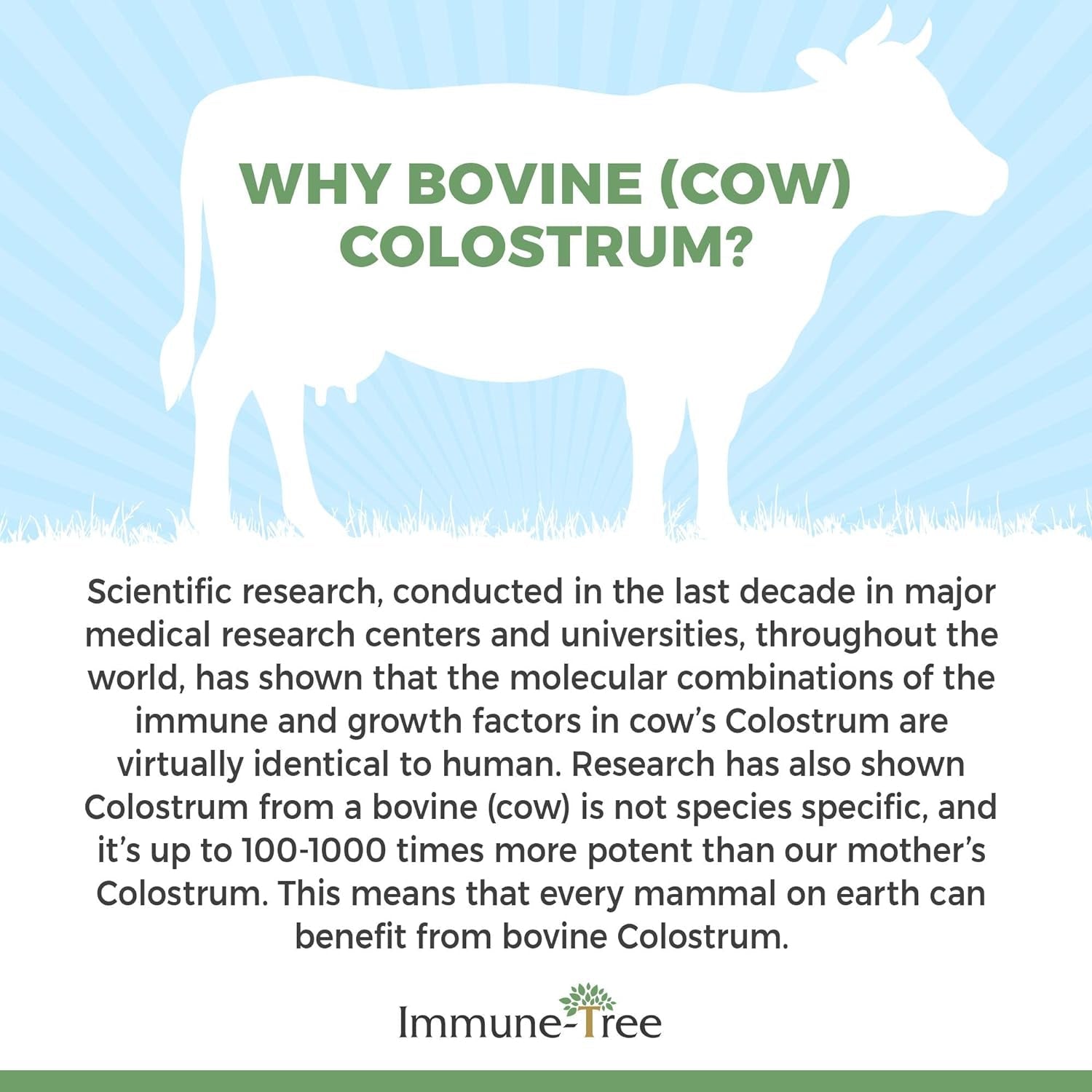 100% Bovine Colostrum Powder, Made in USA from Grass Fed, Grade a Dairy Cows 120 Servings