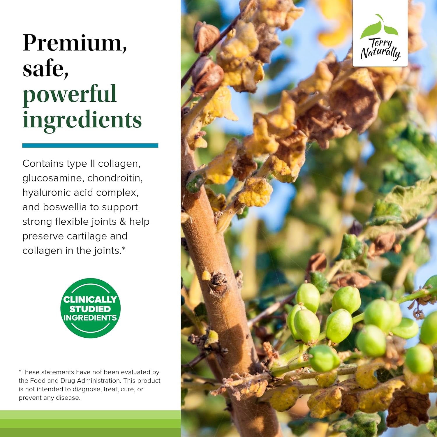 Terry Naturally Be Mobile -  Joint Support Supplement - 60 Capsules/20 Servings 