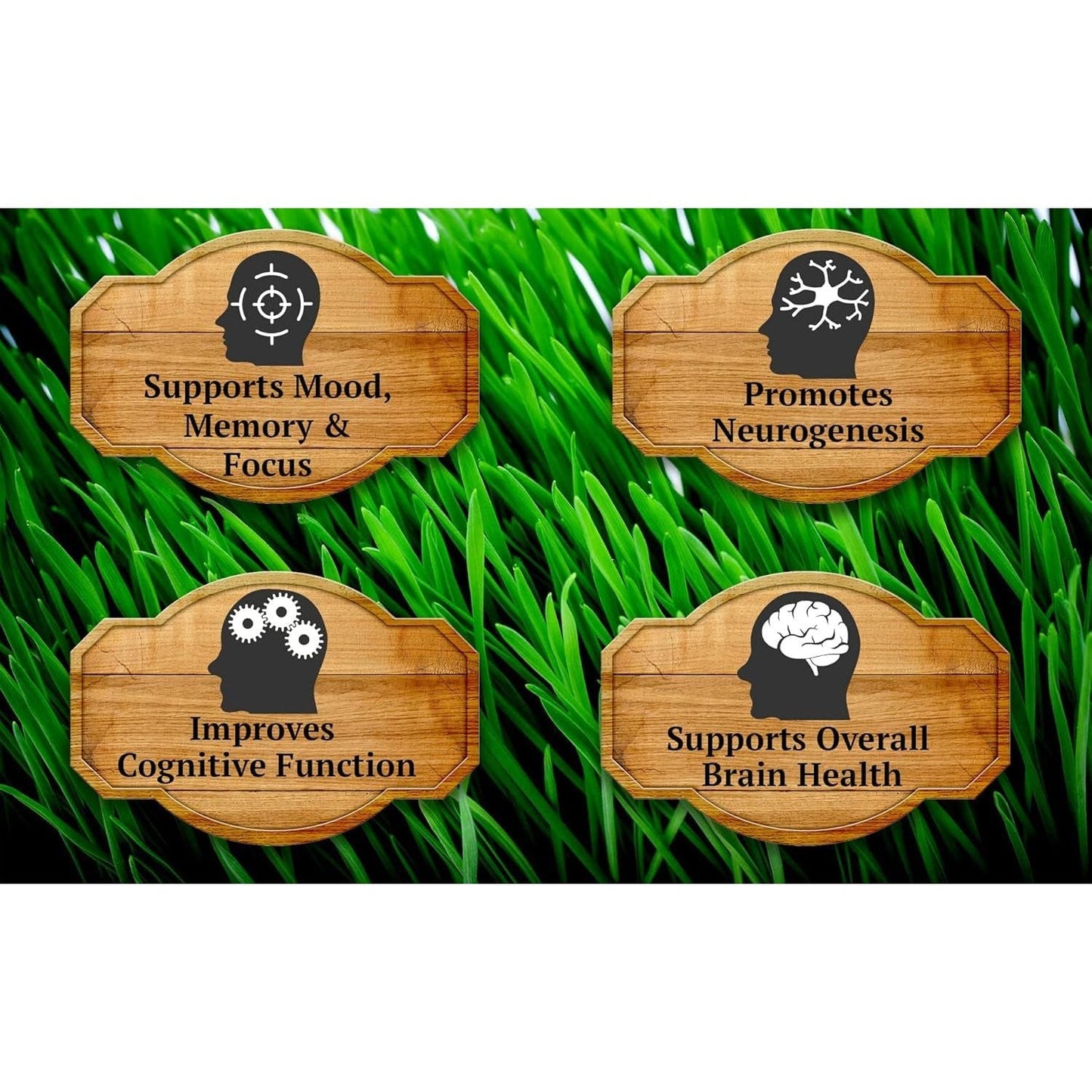 Primal Being Grassfed Beef Brain, Supports Memory, Mood, Focus, Energy, Cognitive Health - 90 Capsules, 1500Mg