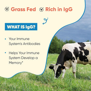 Grass Fed Bovine Colostrum Powder for Humans, Adults | Immunity & Muscle Recovery Support 65 Servings