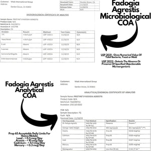 PRISTINE'S Fadogia Agrestis 600MG - Sports Nutrition Testosterone Booster Support Capsules 30-Day Supply
