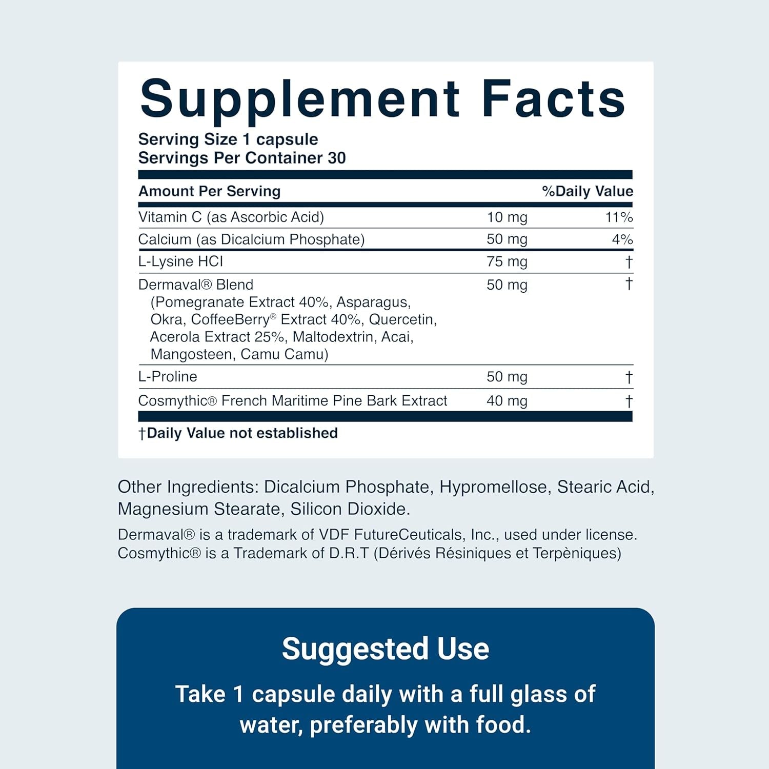 ACTIVATEDYOU Essential Skin Food, Advanced Skincare Collagen Elastin Support Supplement (30 Capsules)