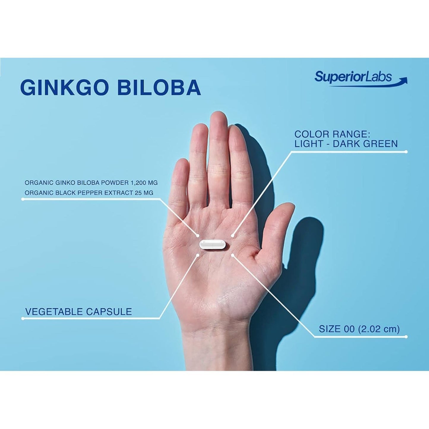 Superior Labs - Ginkgo Biloba - Supports Brain and Heart Health 1200Mg, 120 Vegetable Capsules 