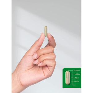 Horbaach Butchers Broom Capsules 1250Mg | 120 Count