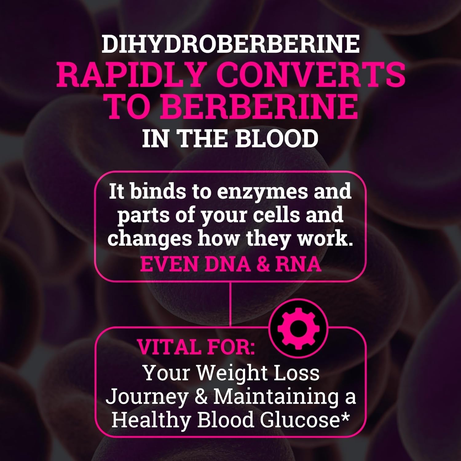 Black Forest 5X Berberine a Dihydroberberine Supplement 