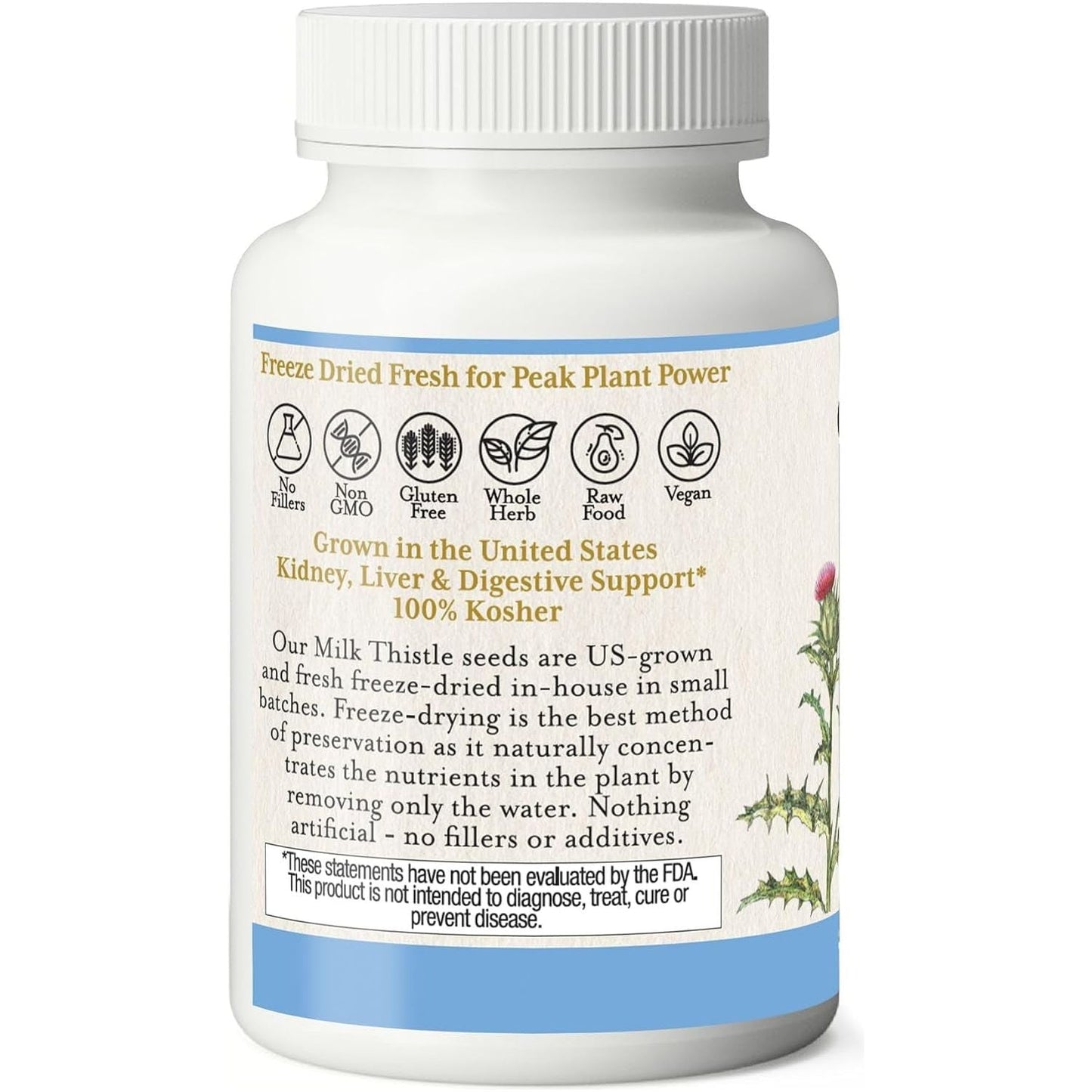 Eclectic Institute Raw Freeze-Dried Non-Gmo Milk Thistle | with Silymarin for Liver Support - Detox, Cleanse & Maintain | 240 CT