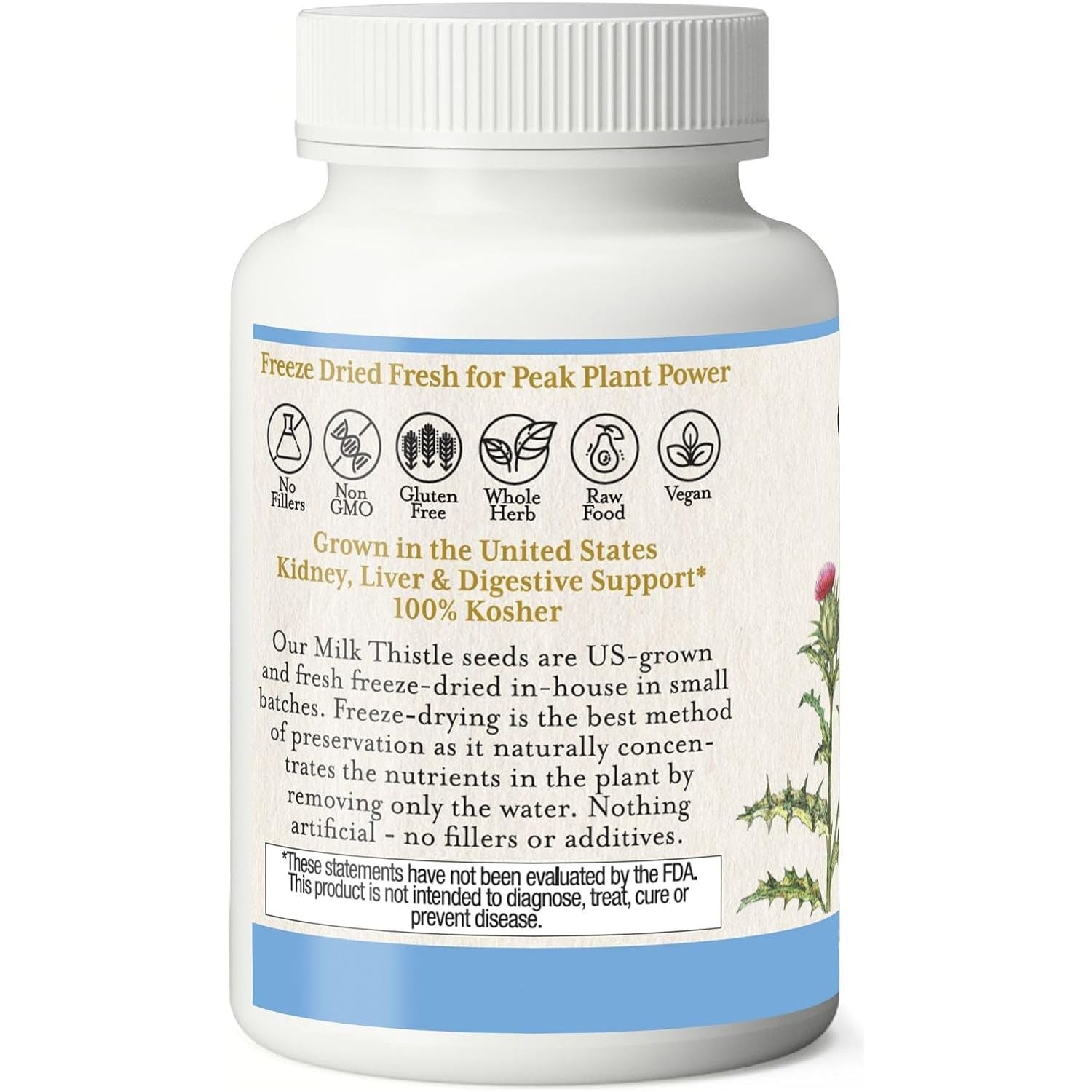 Eclectic Institute Raw Freeze-Dried Non-Gmo Milk Thistle | with Silymarin for Liver Support - Detox, Cleanse & Maintain | 240 CT