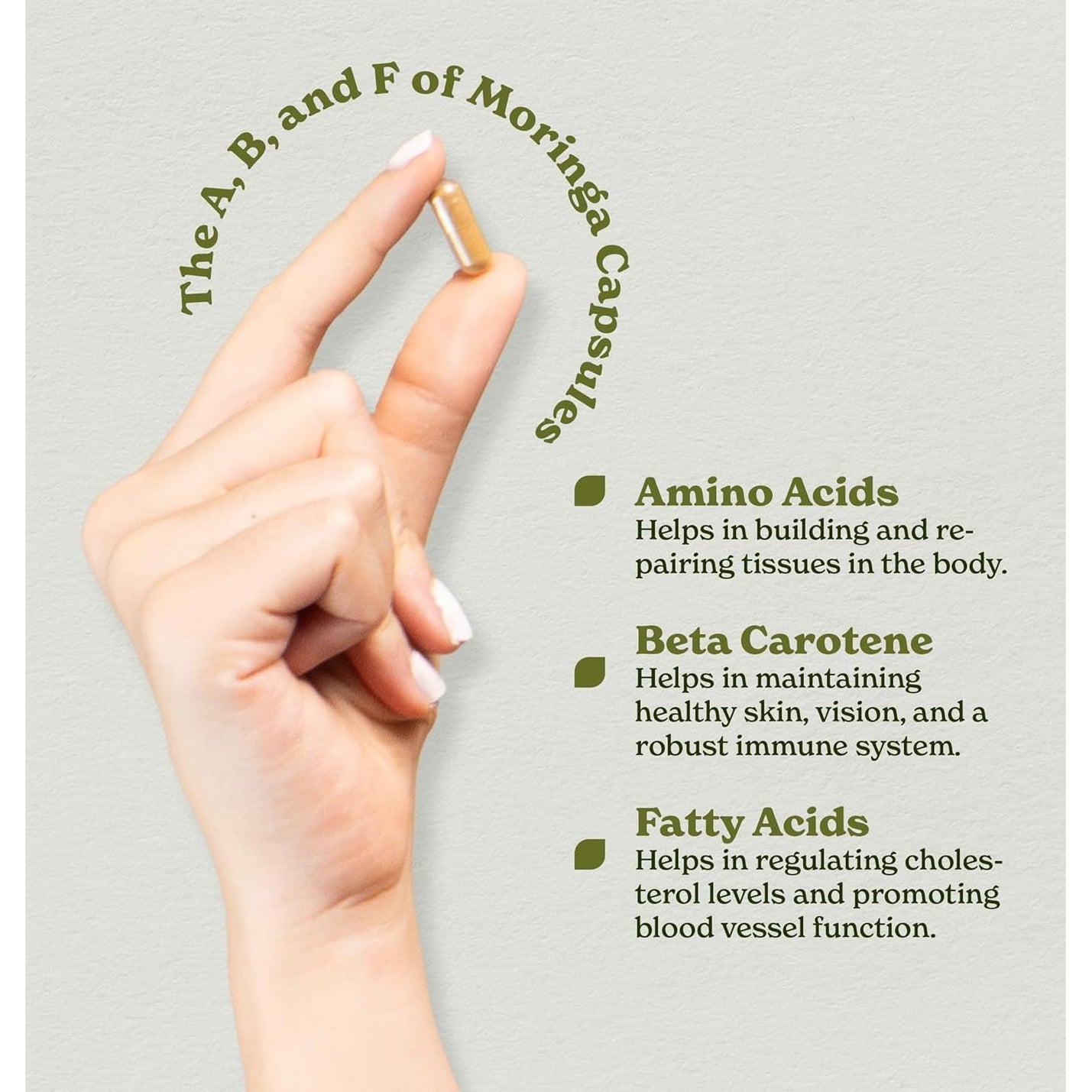 Moringa Capsules 18000Mg with 20:1 Extract | Rich in Calcium