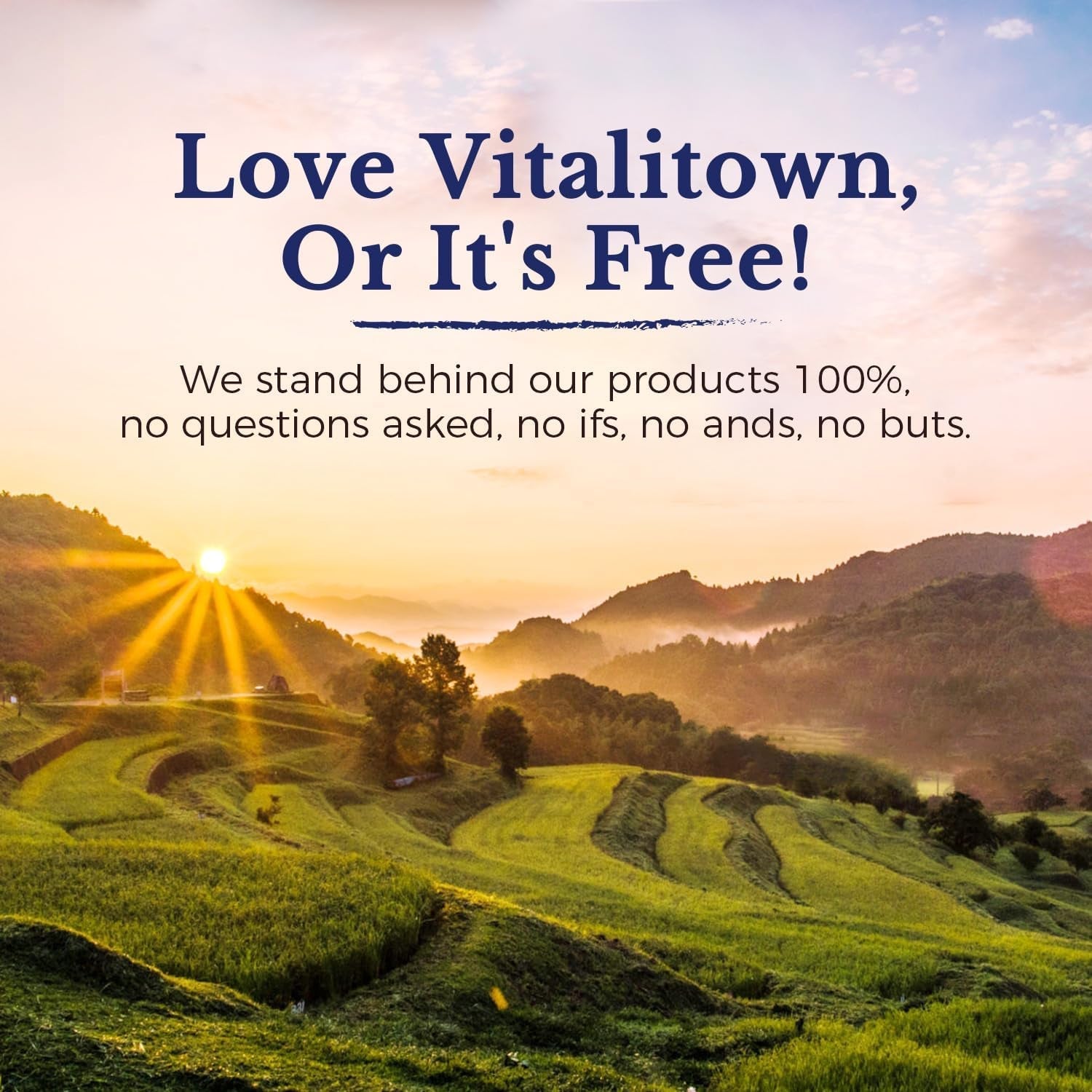 Vitalitown Moringa Capsules 11,000 MG,, Green Moringa Leaves, No Sticks, No Caffeine, Moringa Oleifera, Energy, Appetite, 90 Capsules