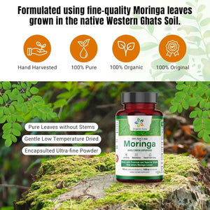 Organic Aura Moringa Leaf Capsules 1500Mg - Boosts Metabolism, Energy, Health, & Stamina